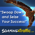 Soaring4Traffic.com - Swoop Down and Seize Your Success!